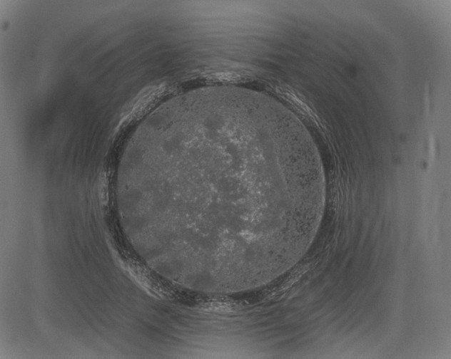 X0000085270738200703091351