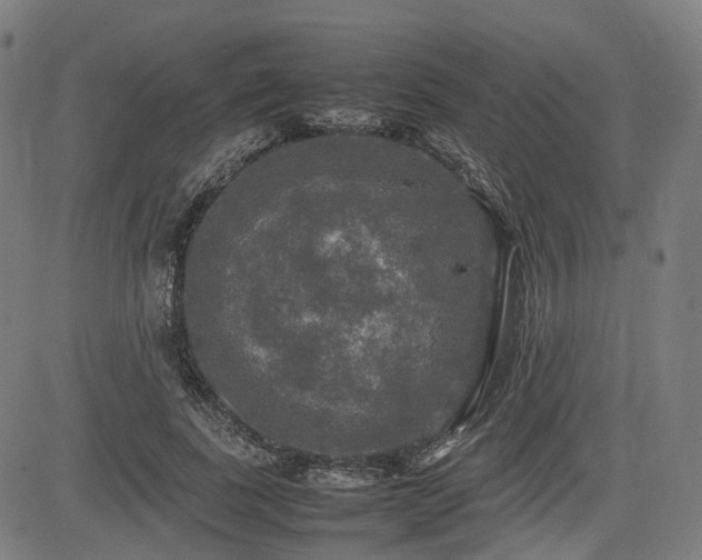 X0000085270739200703091351