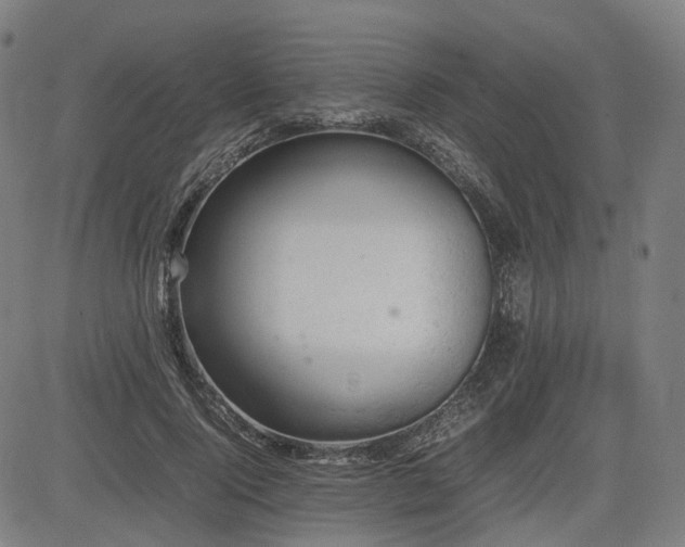 X0000085270740200703091351