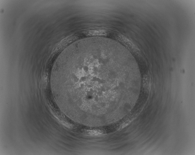 X0000085270741200703091351