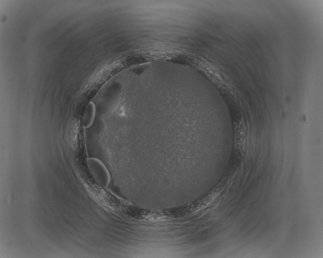 X0000085270742200703091351