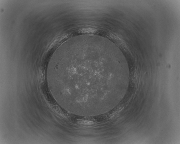 X0000085270743200703091351