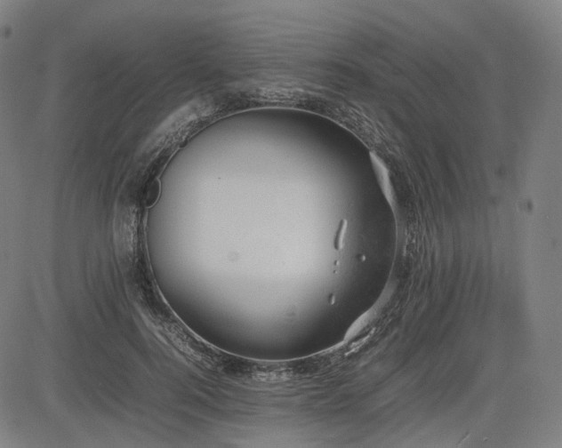 X0000085270744200703091351