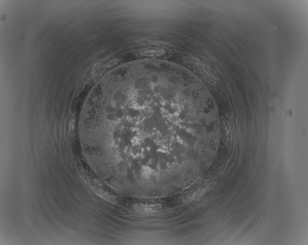 X0000085270745200703091351