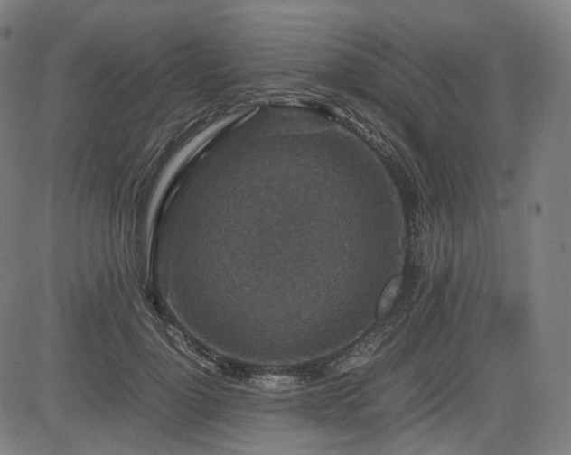 X0000085270748200703091351