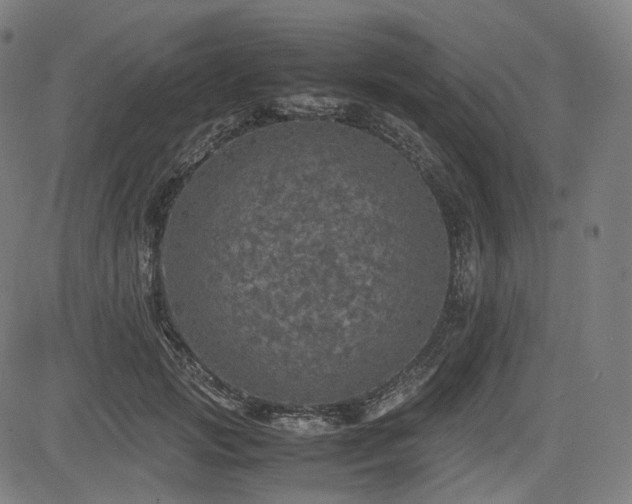 X0000085270749200703091351