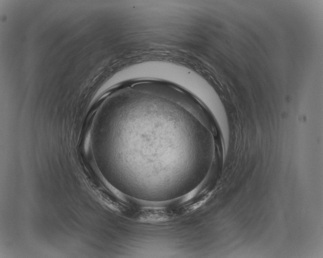 X0000085270750200703091351