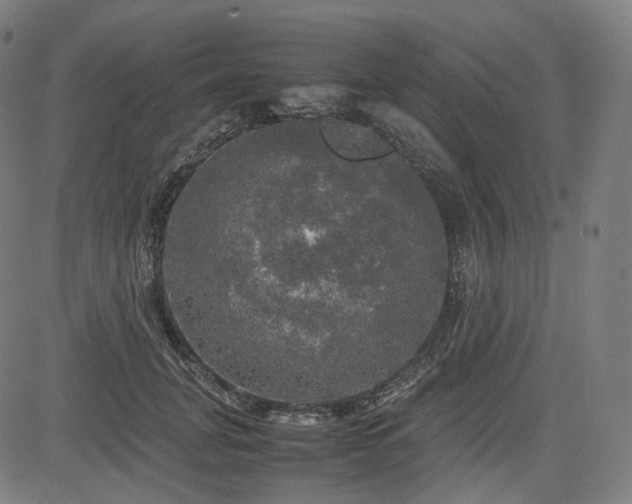 X0000085270751200703091351