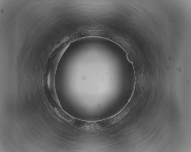 X0000085270752200703091351