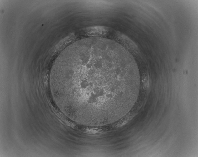 X0000085270753200703091351