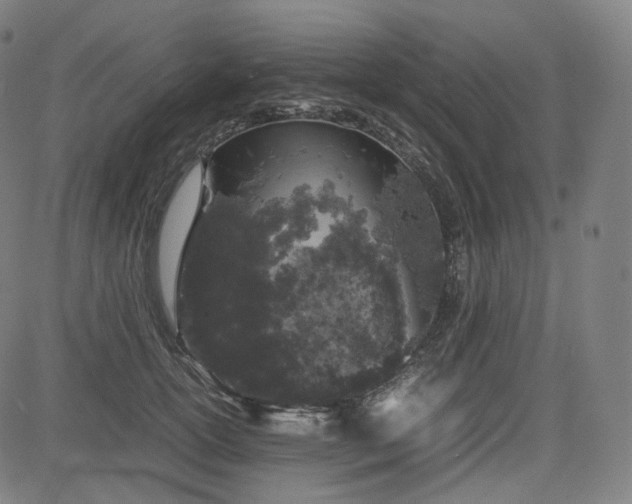 X0000085270754200703091351