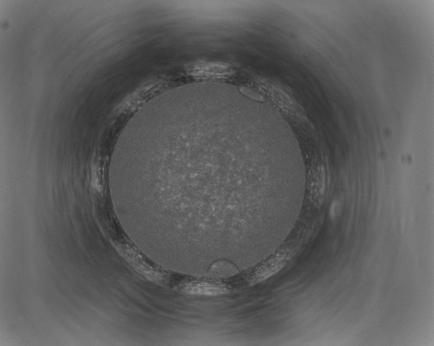 X0000085270755200703091351