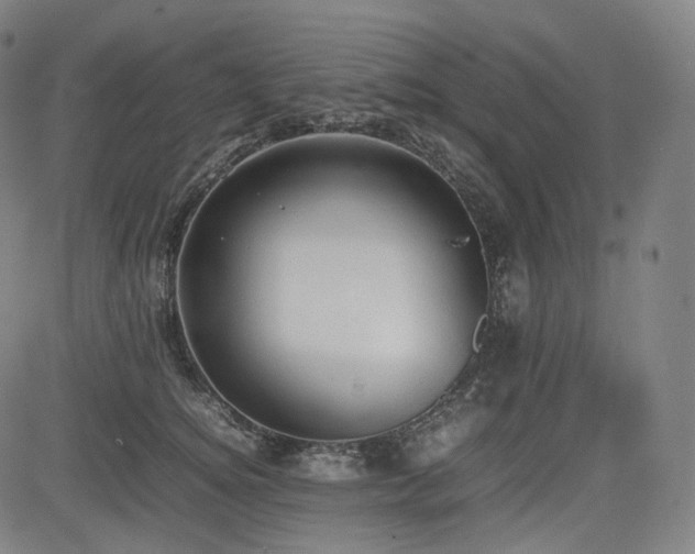 X0000085270756200703091351