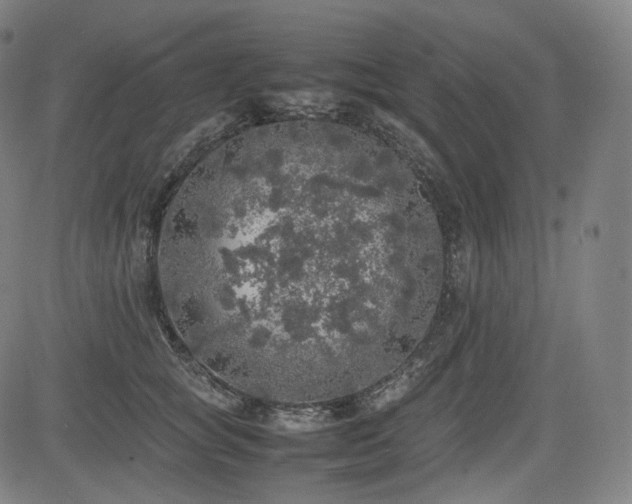 X0000085270757200703091351