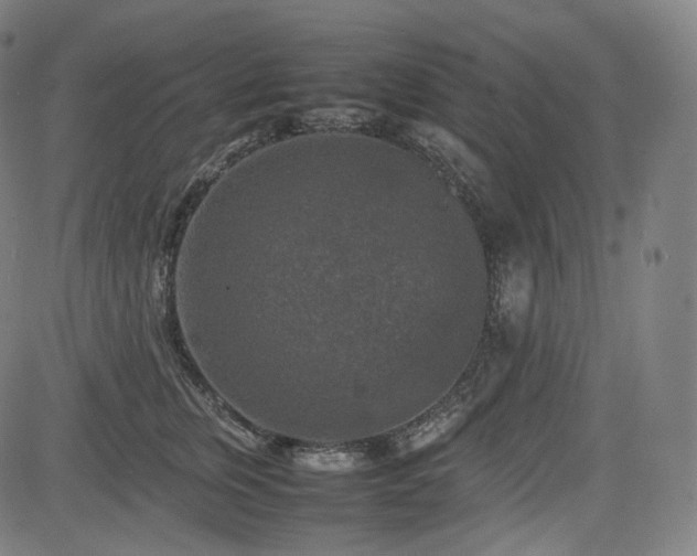 X0000085270759200703091352