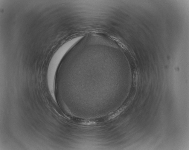 X0000085270760200703091352