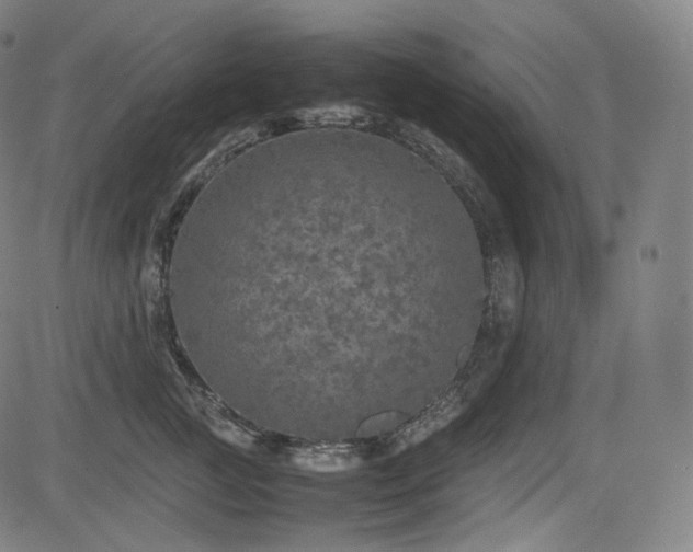 X0000085270761200703091352