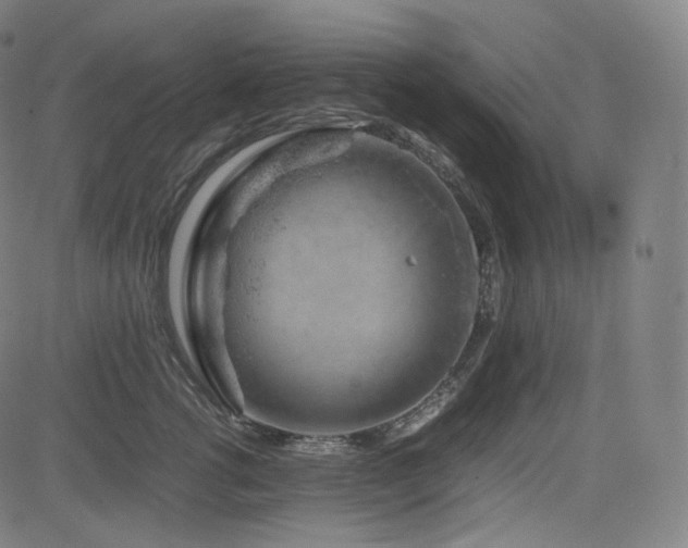 X0000085270762200703091352