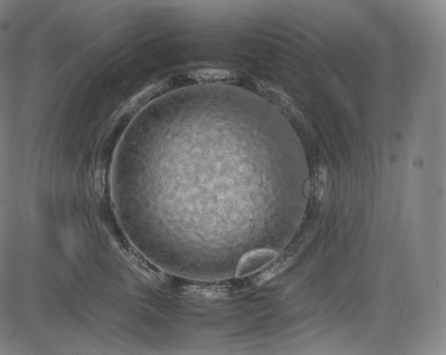 X0000085270763200703091352