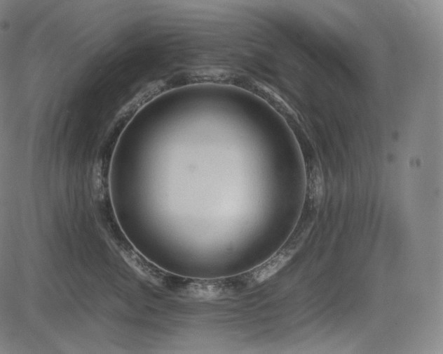 X0000085270764200703091352