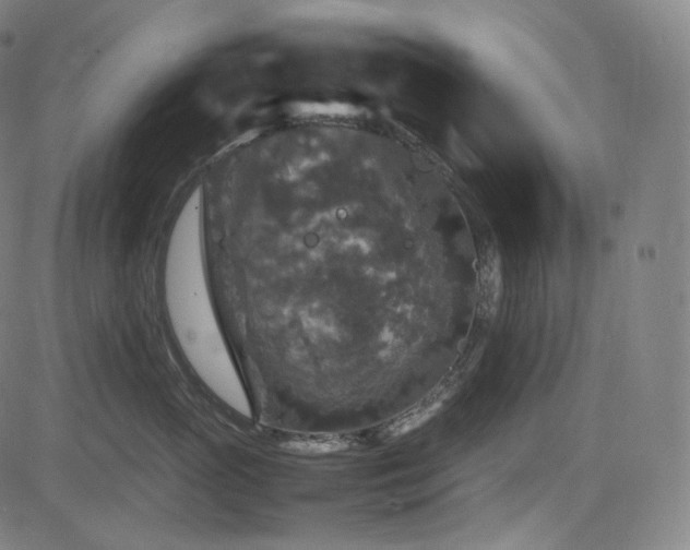 X0000085270765200703091352