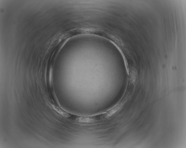 X0000085270766200703091352