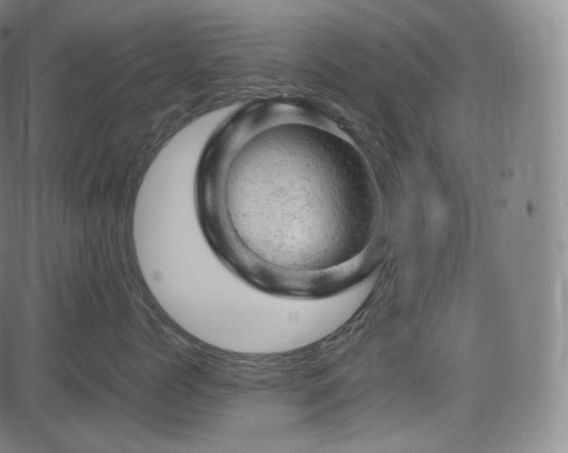 X0000085270768200703091352