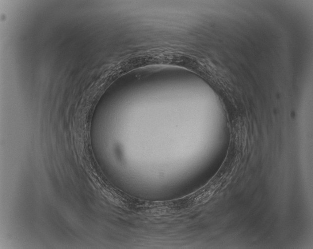 X0000085270769200703091351