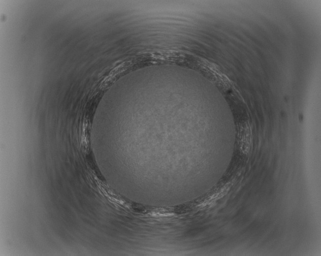 X0000085270770200703091351