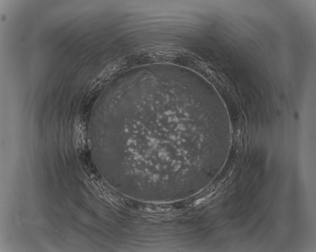 X0000085270772200703091351