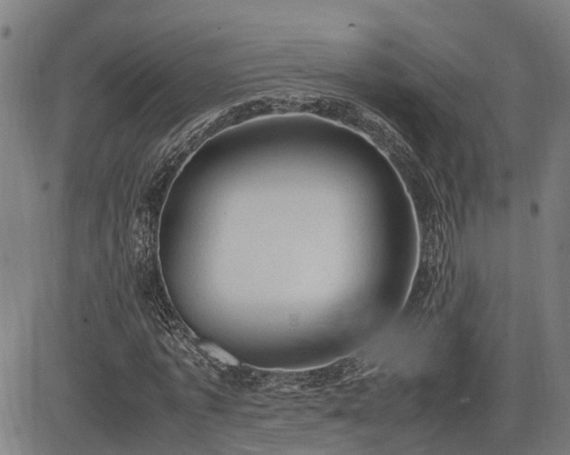 X0000085270773200703091351