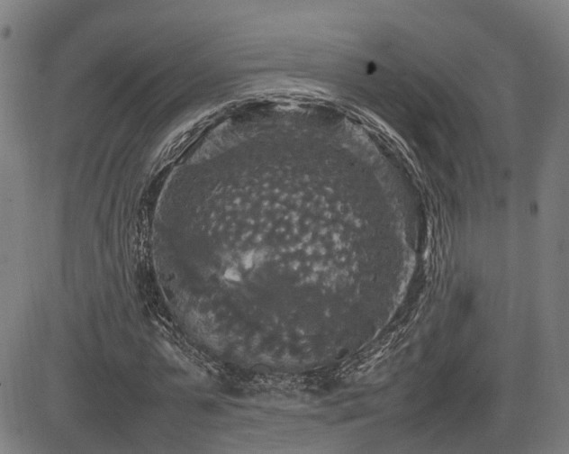 X0000085270775200703091351