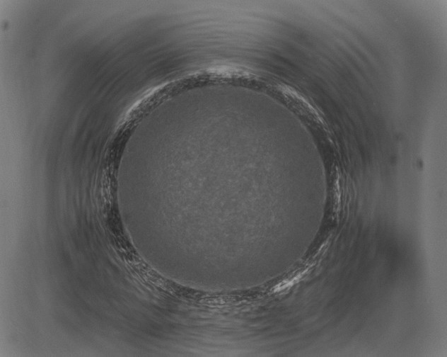 X0000085270776200703091351