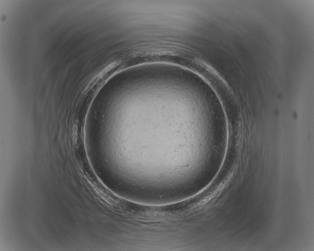 X0000085270777200703091351