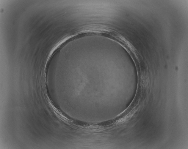 X0000085270779200703091351