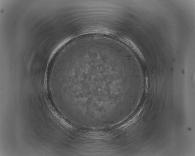 X0000085270780200703091351