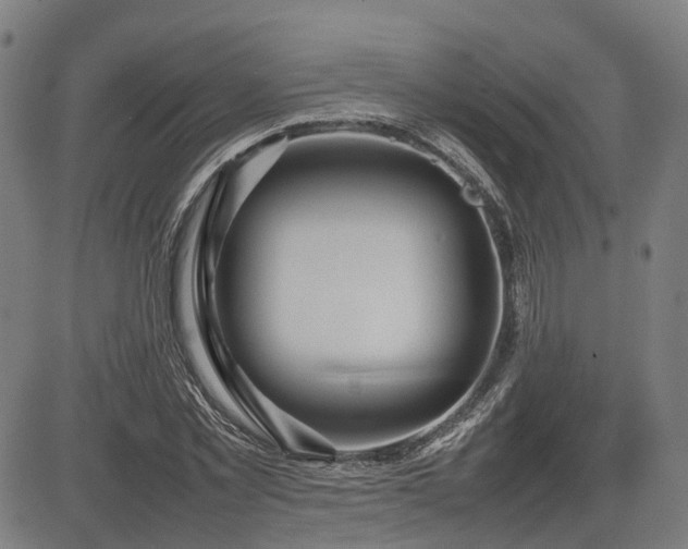 X0000085270781200703091351