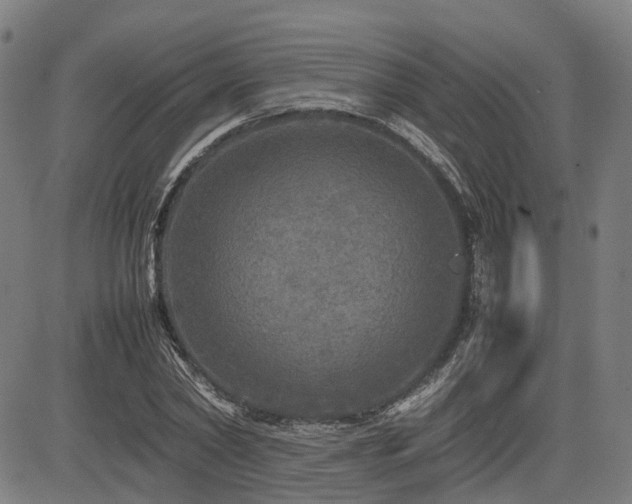 X0000085270782200703091351