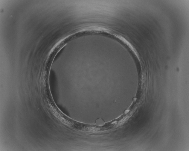 X0000085270783200703091351