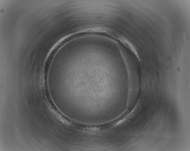 X0000085270784200703091351