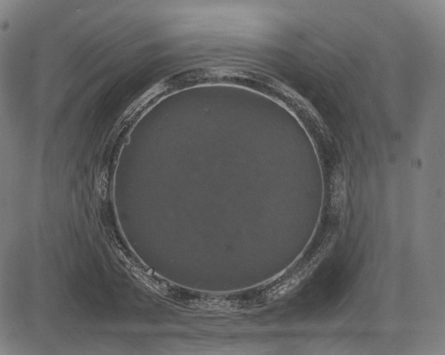 X0000085270785200703091351