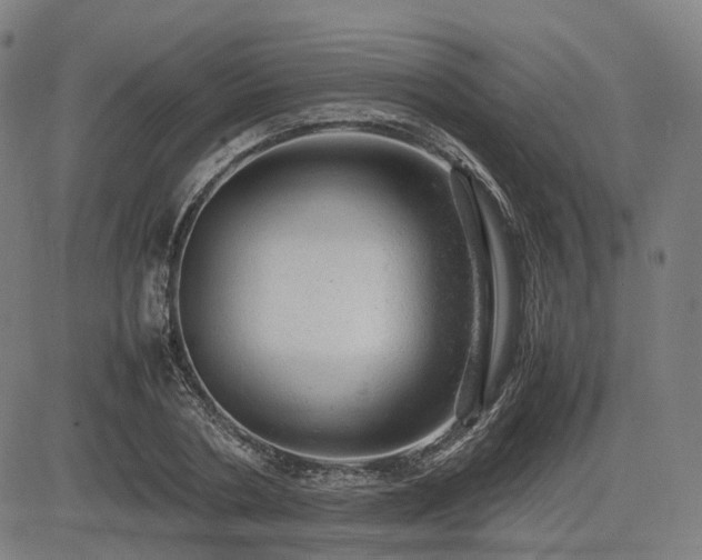 X0000085270786200703091351