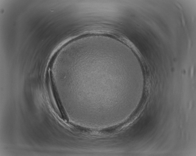 X0000085270787200703091351