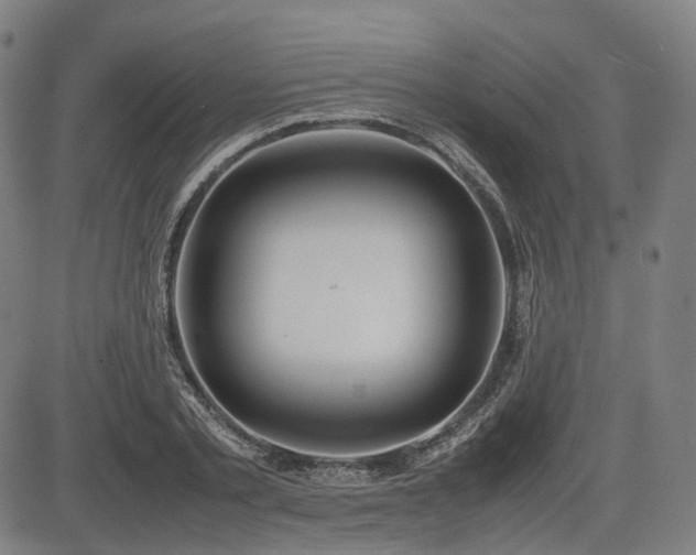 X0000085270789200703091351