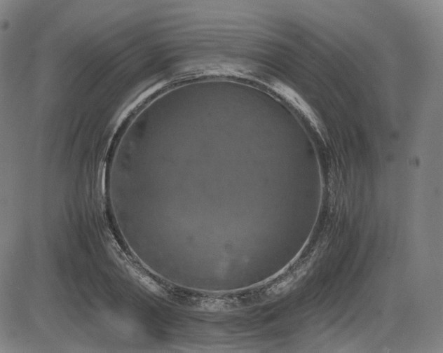 X0000085270790200703091351