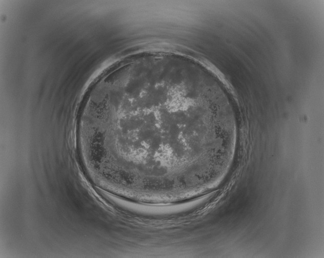 X0000085270791200703091351