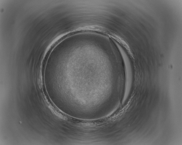 X0000085270792200703091350