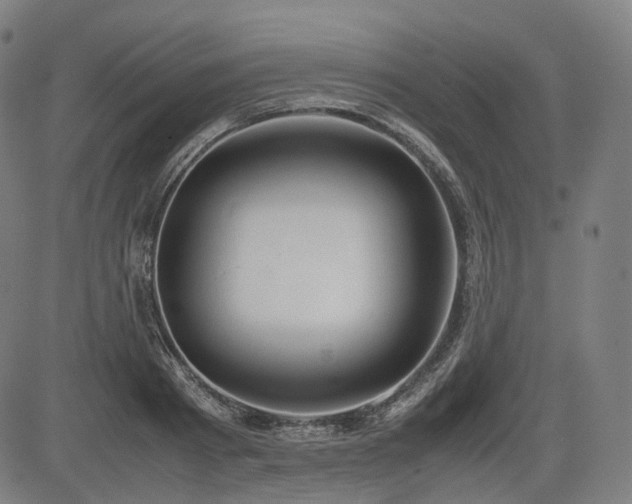 X0000085270793200703091350