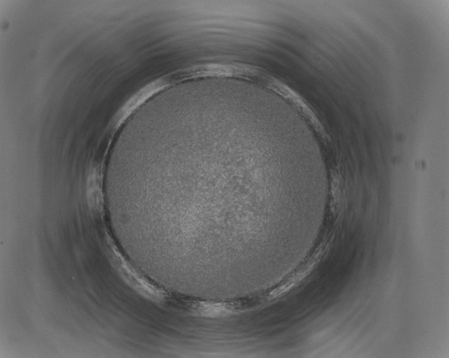 X0000085270794200703091350