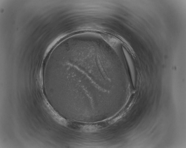 X0000085270796200703091350